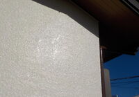 DSCN0602