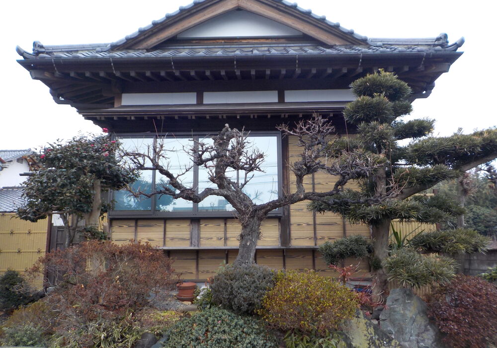 DSCN0233