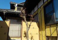 DSCN0446