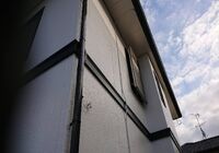 IMG_0955