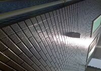 IMG_5337[1]