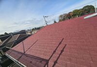 IMG_5291